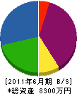 菅原建設 貸借対照表 2011年6月期