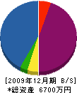 石丸電気 貸借対照表 2009年12月期