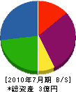 安田組 貸借対照表 2010年7月期