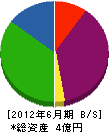 大阪環境 貸借対照表 2012年6月期