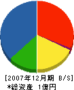 二島電気 貸借対照表 2007年12月期