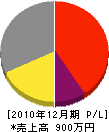細川ポンプ店 損益計算書 2010年12月期