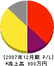 雄輝電気 損益計算書 2007年12月期