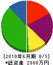 新井鑿泉 貸借対照表 2010年6月期
