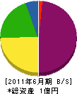 大川組 貸借対照表 2011年6月期