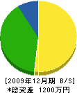 畠山住建 貸借対照表 2009年12月期