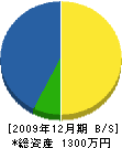 安田電設興業 貸借対照表 2009年12月期