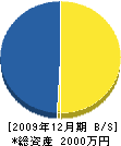 鎌田組 貸借対照表 2009年12月期