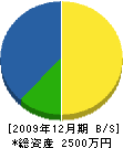 山田塗装看板店 貸借対照表 2009年12月期