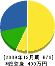 縄田造園 貸借対照表 2009年12月期