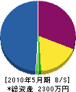 昭城建設 貸借対照表 2010年5月期