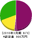 岩本工務店 貸借対照表 2010年3月期
