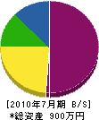 前田造園 貸借対照表 2010年7月期