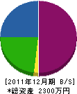 新栄工業 貸借対照表 2011年12月期