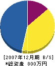 飛弾ぺインター眞 貸借対照表 2007年12月期