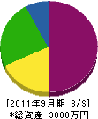 勝藤建設 貸借対照表 2011年9月期