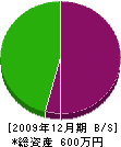池田畳店 貸借対照表 2009年12月期