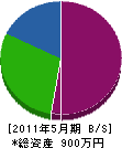 山田塗装店 貸借対照表 2011年5月期