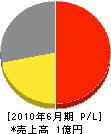 ナカシマ 損益計算書 2010年6月期