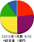 松尾化学工業 貸借対照表 2012年1月期