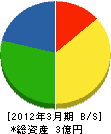 稲田水道工務店 貸借対照表 2012年3月期