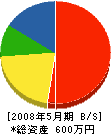 石津電気商会 貸借対照表 2008年5月期