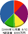 蔵王電気工業所 貸借対照表 2008年12月期