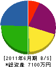 長谷川産業 貸借対照表 2011年6月期