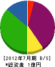渋谷総合設備工業 貸借対照表 2012年7月期