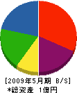 渡辺工務店 貸借対照表 2009年5月期