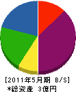 松柳園 貸借対照表 2011年5月期