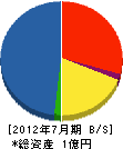 丸平電気 貸借対照表 2012年7月期