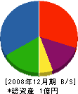 丸善ワタナベ 貸借対照表 2008年12月期