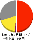 東島工業 損益計算書 2010年6月期