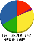 佐藤土建 貸借対照表 2011年6月期