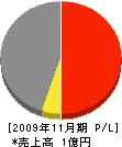 田中組 損益計算書 2009年11月期