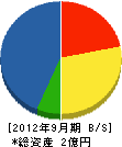 指宿湊建設 貸借対照表 2012年9月期