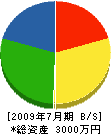 田部建設 貸借対照表 2009年7月期
