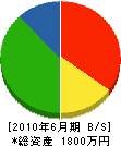 岡崎興産 貸借対照表 2010年6月期