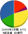 日本建工 貸借対照表 2009年3月期