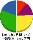 高橋電気商会 貸借対照表 2012年6月期