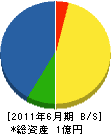 辻電機 貸借対照表 2011年6月期