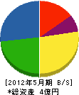 比謝川電気 貸借対照表 2012年5月期
