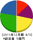 タケナカ 貸借対照表 2011年12月期