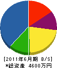 三栄アルミ 貸借対照表 2011年6月期