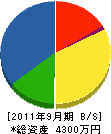 中国防災管理協会 貸借対照表 2011年9月期