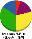 小山商会 貸借対照表 2010年6月期
