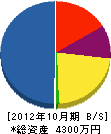遠藤組 貸借対照表 2012年10月期