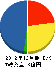 沖縄ガスリビング 貸借対照表 2012年12月期