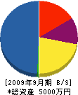 田中組 貸借対照表 2009年9月期